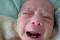 dientes-neonatales-1m-2005-000