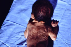 duendecillo-williams-001