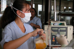exanguinotransfusion-con-bombas-2002-008