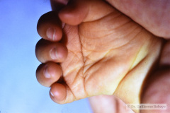 linea-palmar-unica-001