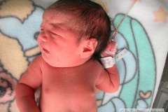 miliaria-cristalina-2006-011