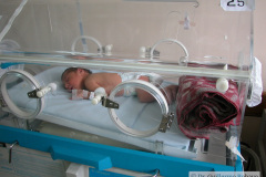 oxigenoterapia-incubadora-posicion-prona-2003-001