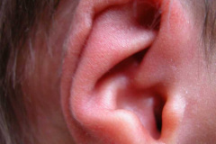 pabellon-auricular-2002-003