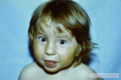 pader-willi-1981-001