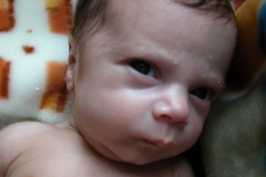 programa-madre-y-padre-participantes-2009-005