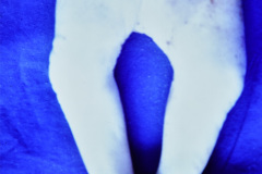 regresion-caudal-005