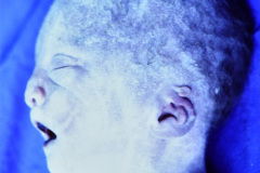 regresion-caudal-012