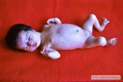 roberts-1985-002