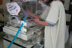 terapia-fisica-2003-000
